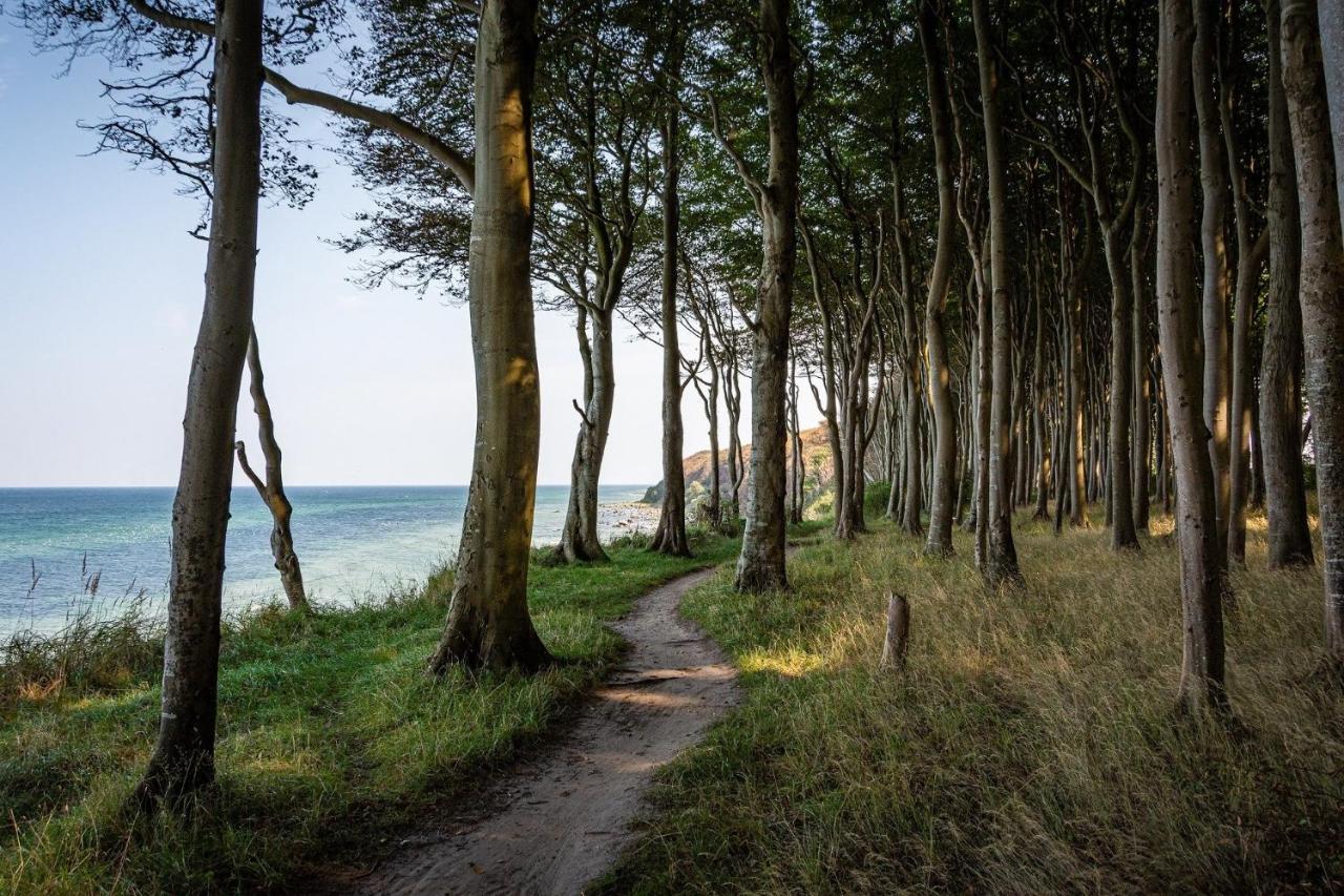 Ferienhaeuschen Kuestenwald Bei Warnemuende, Eigener Garten, Terrasse Mit Strandkorb, 400M Zum Strand ディードリッヒシュハーゲン エクステリア 写真
